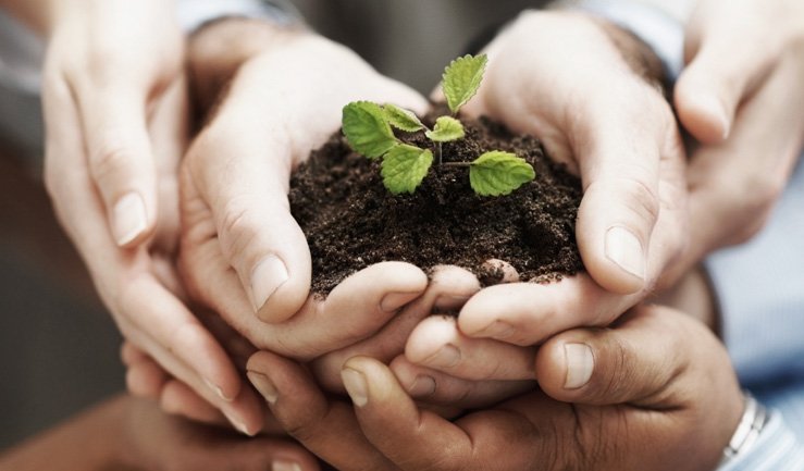 Charity and Philanthropy