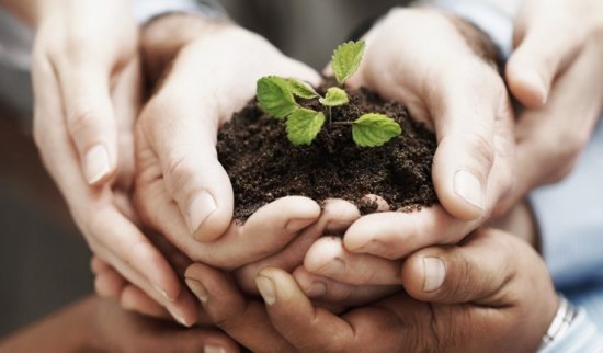 Charity and Philanthropy